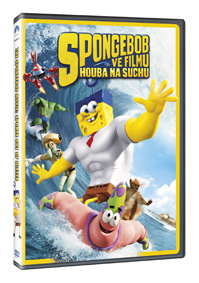 sponge2