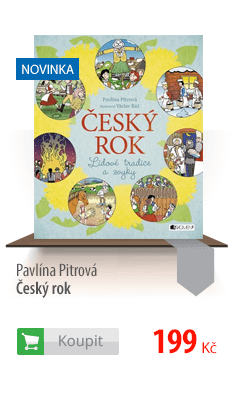 Český rok kniha