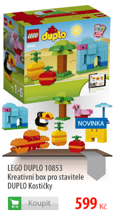LEGO Duplo Kreativní box pro stavitele