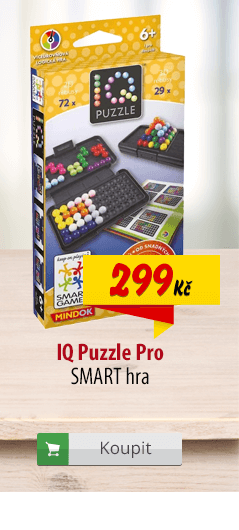 IQ Puzzle Pro