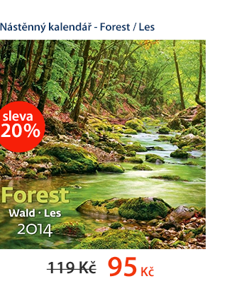 Nástěnný kalendář 2014 - Forest / Les

